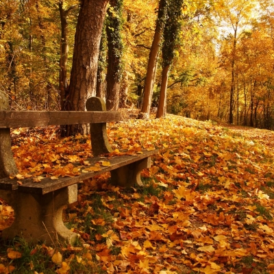 6. Skupno branje poezije (MB)